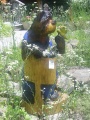 Sign Bear with Butterfly